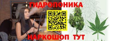 ешки Новозыбков