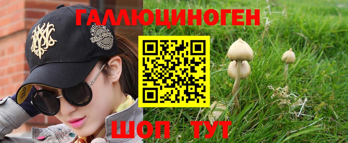 Псилоцибиновые грибы GOLDEN TEACHER Рыбинск