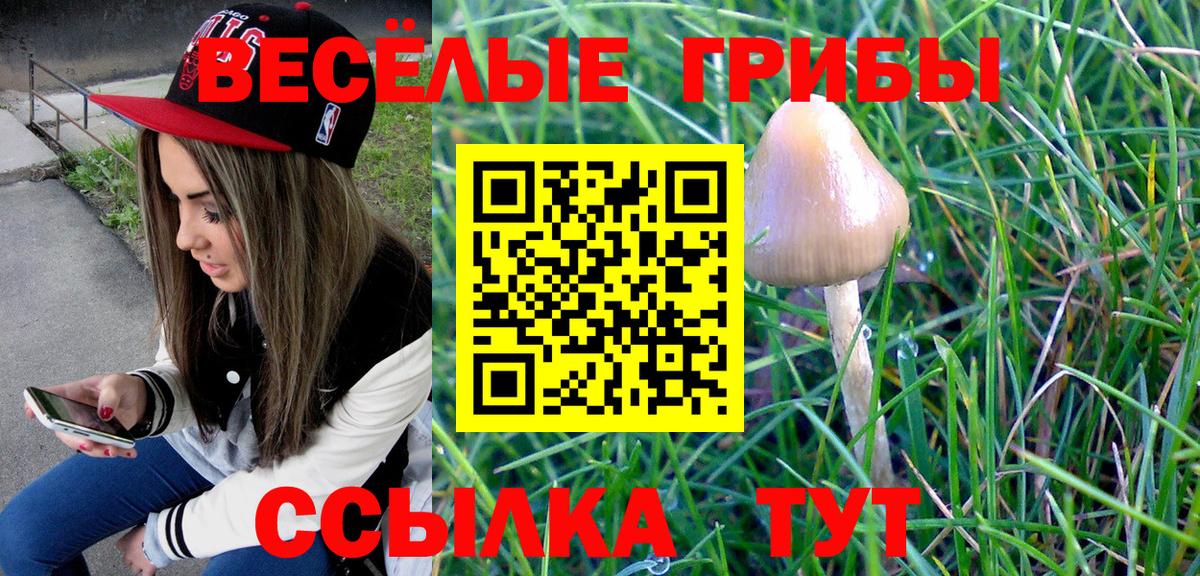 Рыбинск  Галлюциногенные грибы прущие грибы  Галлюциногенные грибы мицелий  Вход с VPN 